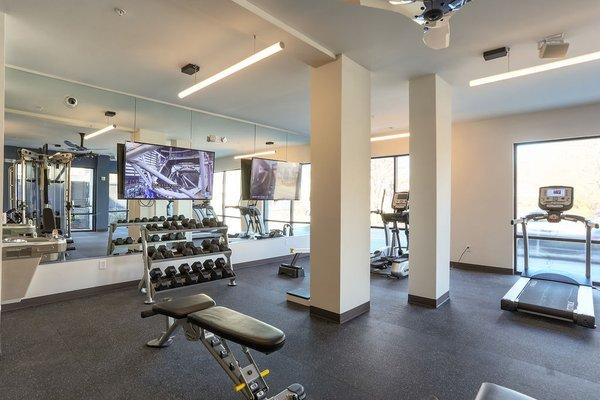 Fitness Center with Dumbbells, Row Machine