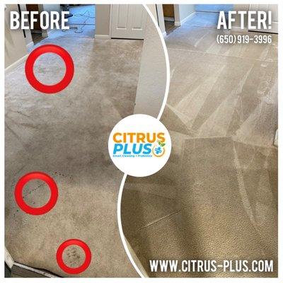 Leaving your carpet fully eco-sanitized and looking like brand new is what we love the most!