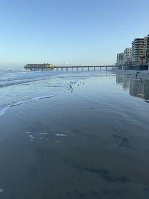 Beach, 4:30pm. High tide will be 8:32pm