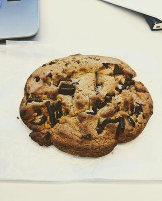 Chocolate Chip Cookie