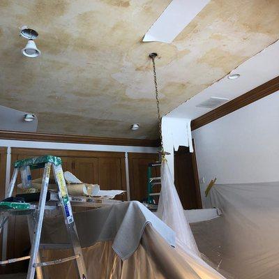 Historic home repairs from canvas ceiling.