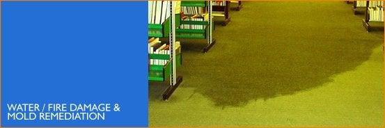 Citrus Fresh Carpet Cleaning of Camarillo