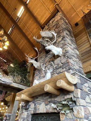 Bass Pro Shops