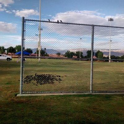 View of part of the park soccer area