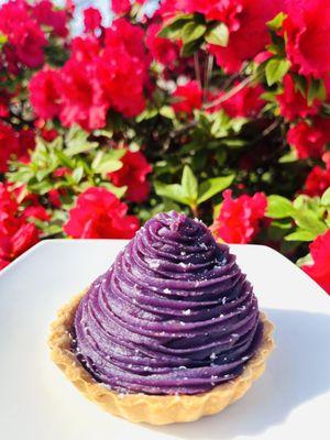 Purple Sweet Potato Tart