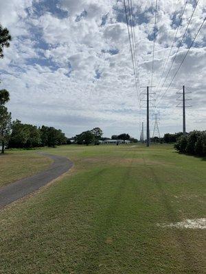 Wasn't a fan of the power lines running through the course..