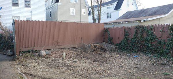 No more dead trees. Now I can work on landscaping the yard.