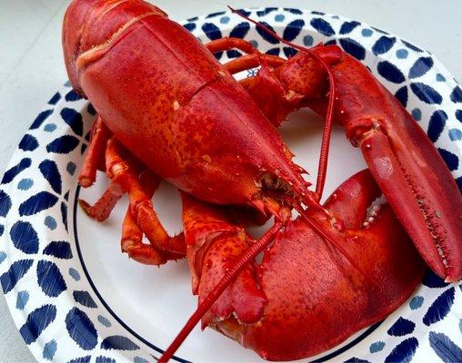 Trailside Lobster Pound