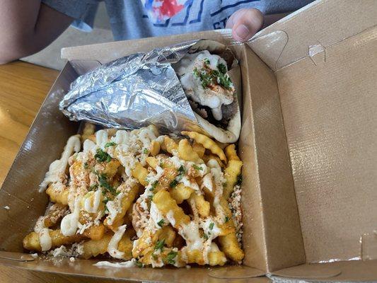 Gyro Greek Fries