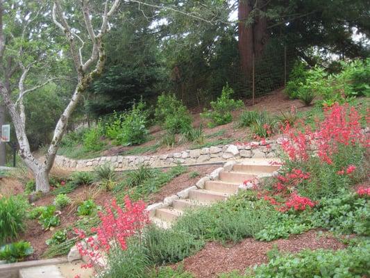 Colorful perennial plantings on a slope