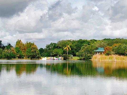 Back lake with pedal boat station