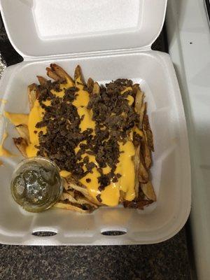 Steak Cheese Fries