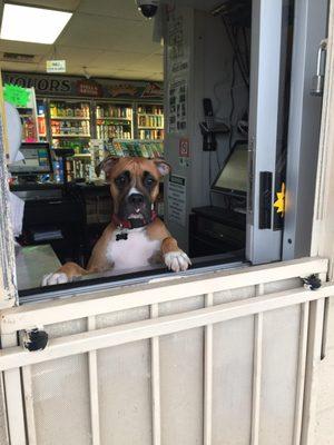 The Drive Thru at London Bridge Liquors is Dog Gone Great!!!