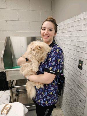 Kristen, LVT & feline exclusive groomer in my cat grooming room inside the animal infirmary of Hoboken