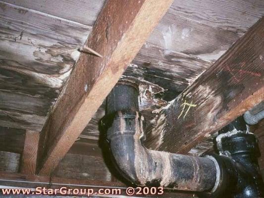 An old leaky sewer pipe...