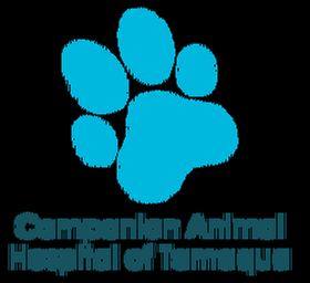 Companion Animal Hospital