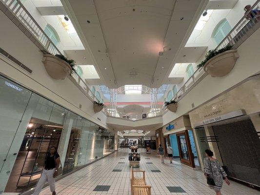 Dillard's wing