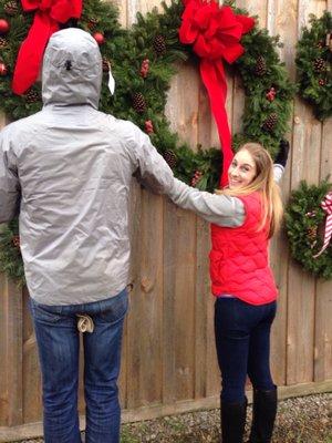 What a selection of fresh wreaths