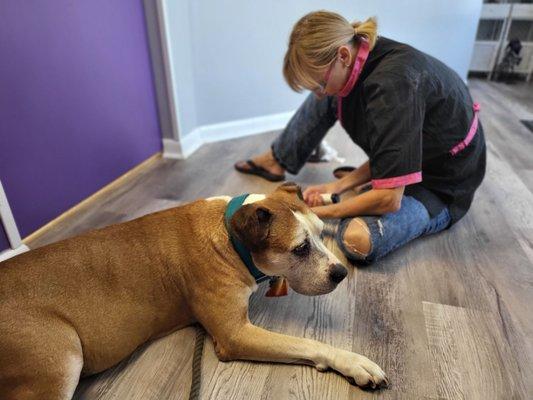 Owner trimming nails