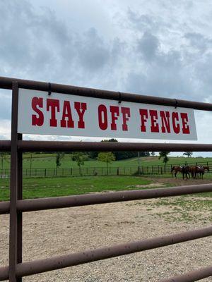 Sign in front of the horses!