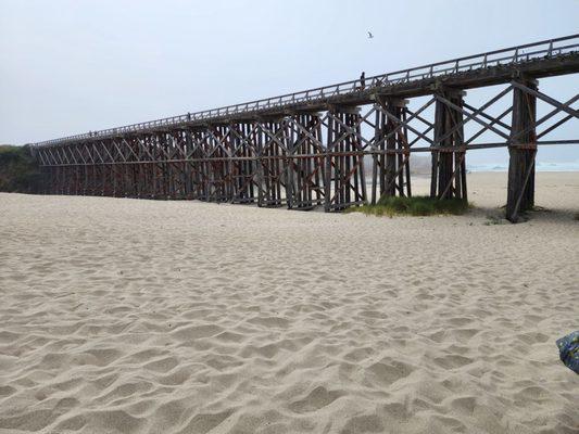 Beautiful kid friendly pudding beach 3 minutes from the motel