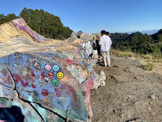 You can sit behind this graffitied log