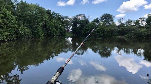 Great fishing spot behind the apartment!!