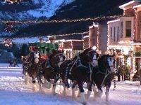 Budweiser Clydesdales on Main St.  Christmas!