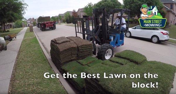 Best Zoysia Sod Installer