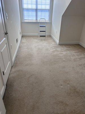 carpet cleaning before