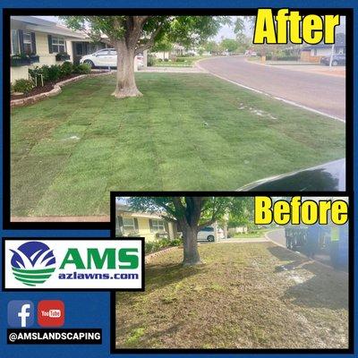 Before and after sod installation in Phoenix.