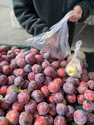 Pick your pluots!