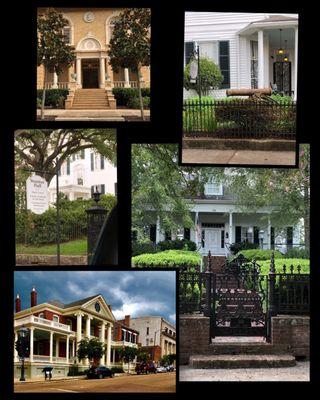 Collection of images in the Historical city of Natchez. Def recommend a leisurely drive around town.