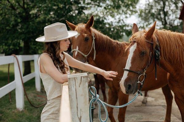 Petting horses