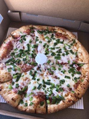 large one topping pizza