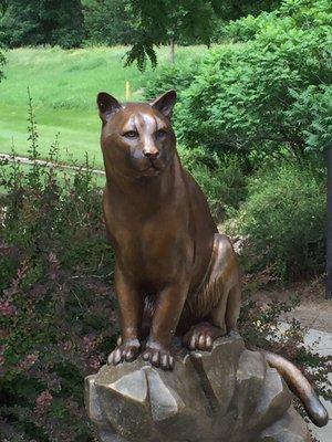 A mountain lion in bronze.  DeKovend Park, Centennial, Colorado