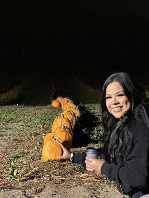 Pumpkin farm