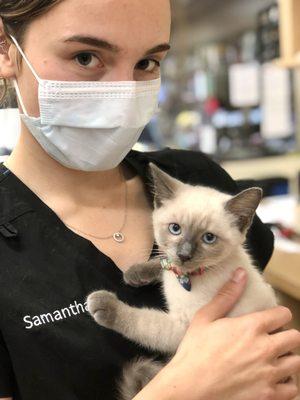 We don't just treat dogs! There are many ways we make your cat's vet visit easy for everyone.