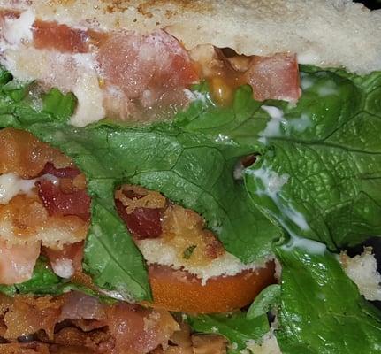 Fresh yummy BLT