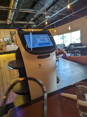 Robot that delivers your chips.