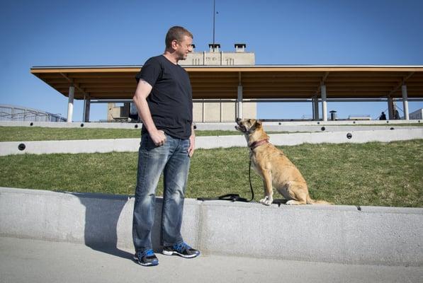 Me and my dog Karma, practicing a great sit stay and the look cue. © hilarybenasphoto