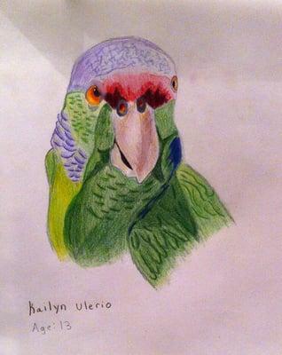 Kaylin's color pencil drawing