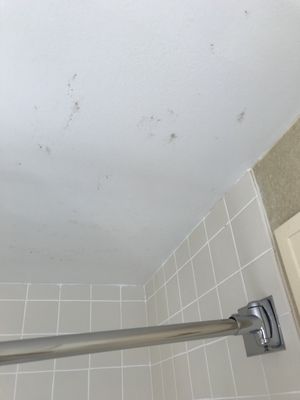 Mold on the ceiling above the shower.