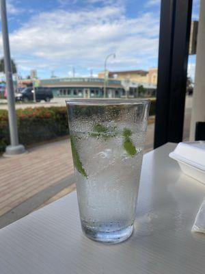 Mint water