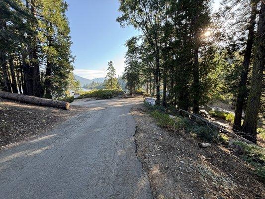 Road to boat launch and more picnic tables.