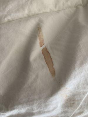 Giant blood mark on comforter