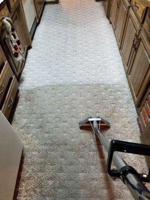 Carpet in the kitchen?  Bad idea.......  Calling Dynamic Carpet Care...... Excellent decision!!!