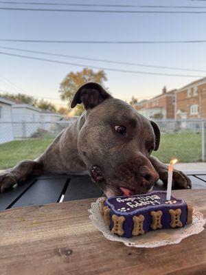 Rio's 4th Birthday