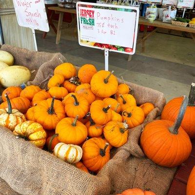 Pumpkin season!