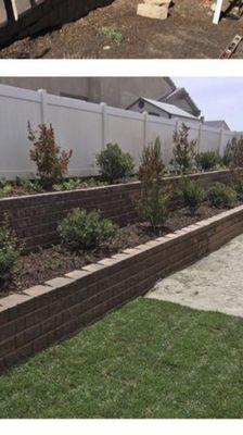 5 C's Landscaping